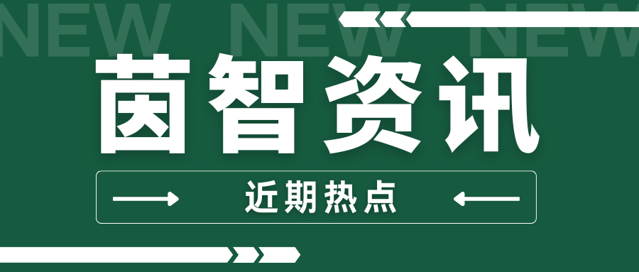 西陵区政企代表团到访茵智生物，共话合成生物学产业合作